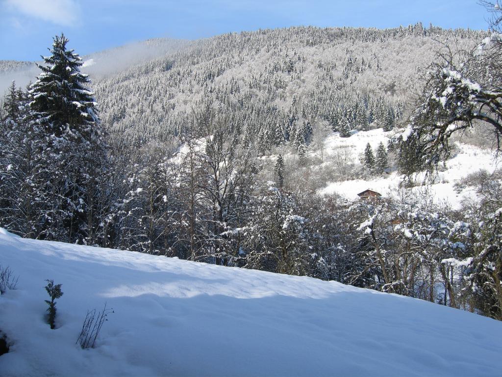 Borne * Saint-Jean-d'Aulps